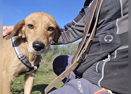 Lilli: sie muss man lieb haben