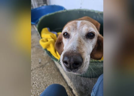 Perla: darf sie noch einmal Liebe spüren?