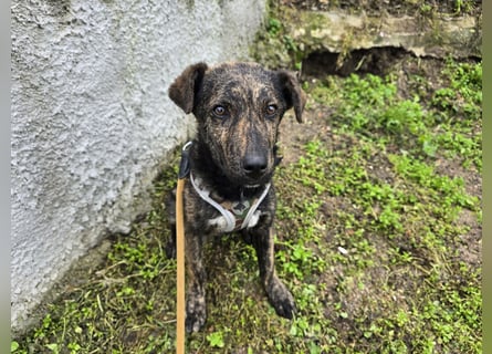 Frieda: ein Schatz für "überall mit dabei"