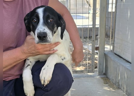 Castagna: sehnt sich nach Freiheit