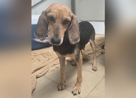 Paoluccia: wird sie noch einmal Geborgenheit spüren?