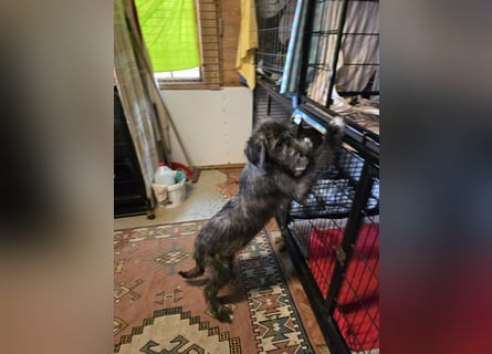 Astra: bereit für ihre eigene Familie