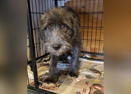 Astra: bereit für ihre eigene Familie