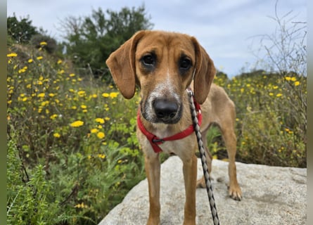 Veneranda: ihr Traum: nie mehr eingesperrt sein