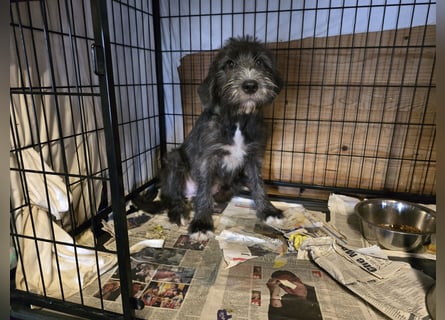 Astra: bereit für ihre eigene Familie