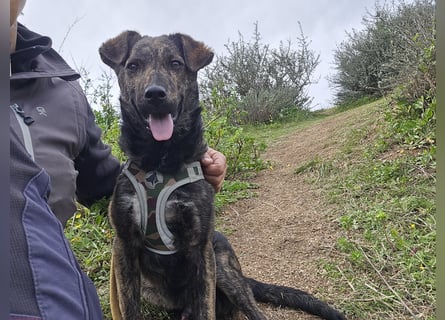 Frieda: ein Schatz für "überall mit dabei"