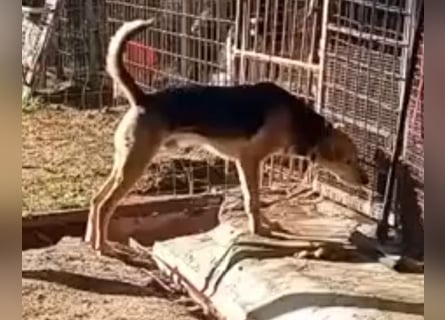 Spenck: wo darf ich hin?