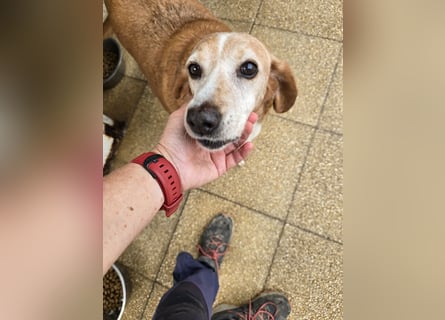 Perla: einmal nur geliebt werden...