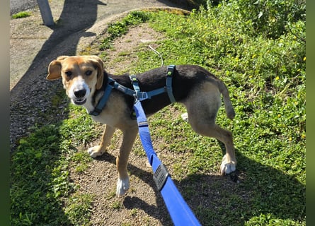 Venere: wird mein Leben bunt und schön?