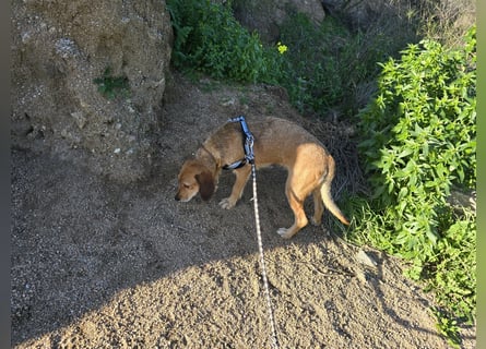 Lilli: sie muss man lieb haben