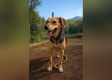 Spenck: wo darf ich hin?