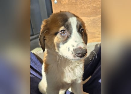 Eveline: bereit für ihre eigene Familie