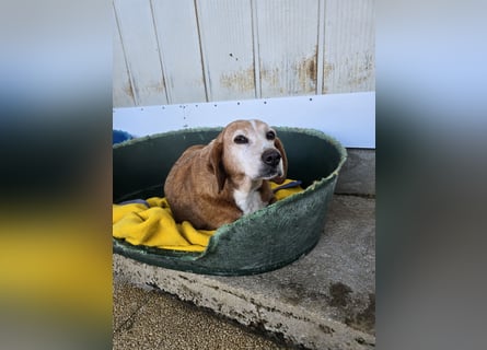 Perla: darf sie noch einmal Liebe spüren?