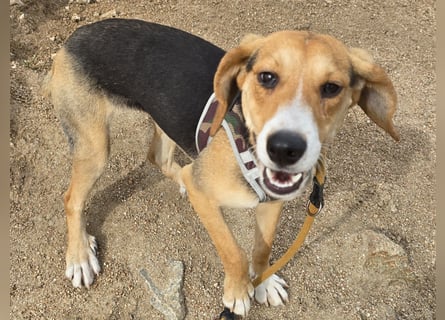 Venere: wird mein Leben bunt und schön?