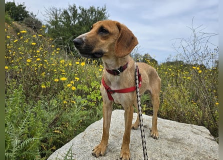 Veneranda: ihr Traum: nie mehr eingesperrt sein