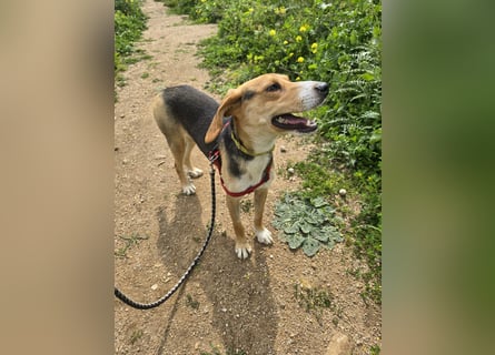 Venere: wird mein Leben bunt und schön?