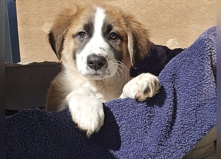 Eveline: bereit für ihre eigene Familie