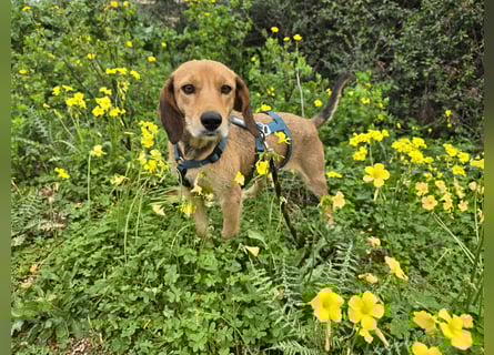 Lilli: sie muss man lieb haben