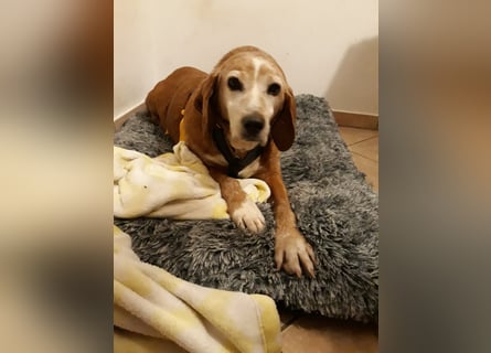 Perla: wer hätte das gedacht?