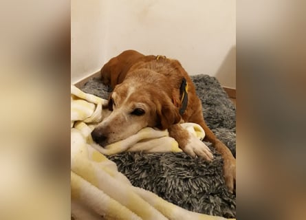 Perla: wer hätte das gedacht?