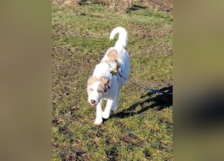 Anton: wer nimmt mich so, wie ich bin?