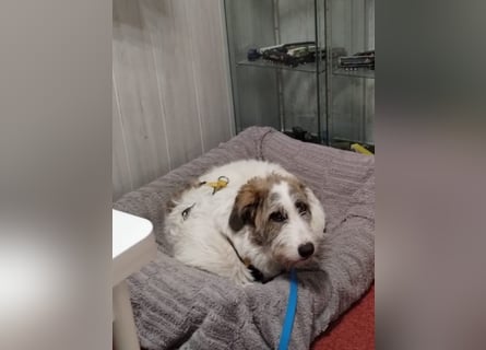 Anton: wer nimmt mich so, wie ich bin?