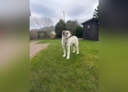 Anton: wer nimmt mich so, wie ich bin?