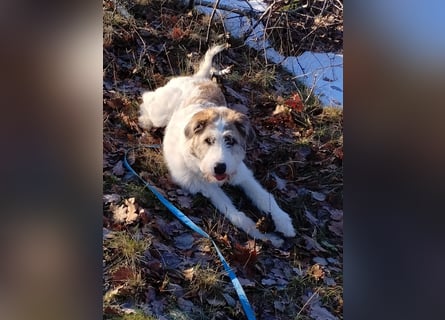 Anton: wer nimmt mich so, wie ich bin?