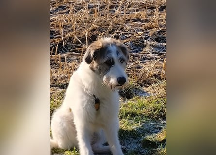 Anton: wer nimmt mich so, wie ich bin?