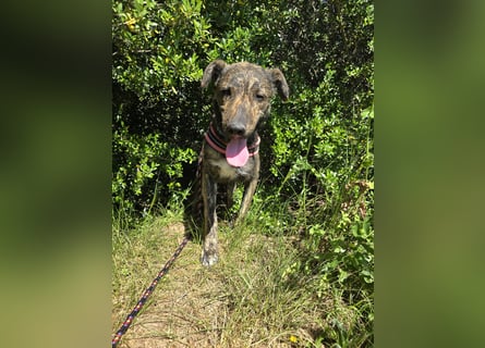 Rosino: ein Schatz für "überall mit dabei"