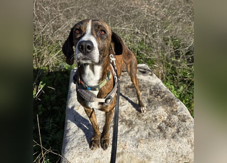 Sardo: Sehnsucht nach menschlicher Wärme