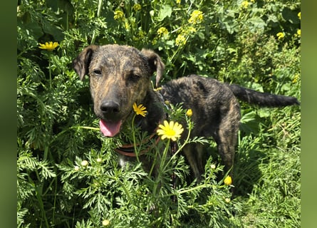 Rosino: ein Schatz für "überall mit dabei"