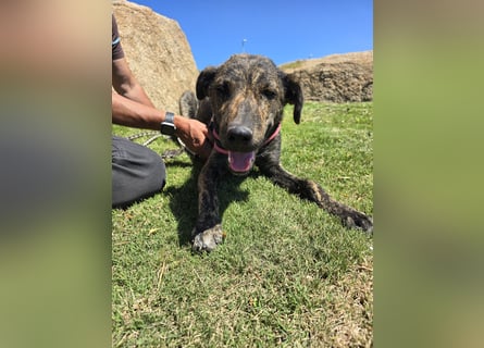 Rosino: ein Schatz für "überall mit dabei"