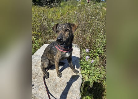 Rosino: ein Schatz für "überall mit dabei"