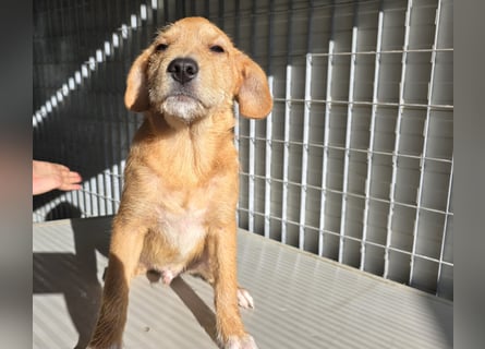 Giovanni: Kuschelstunden sind Voraussetzung