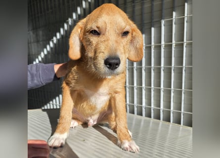 Giovanni: Kuschelstunden sind Voraussetzung