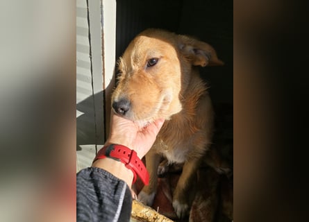 Giovanni: Kuschelstunden sind Voraussetzung