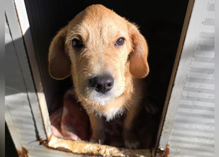 Giovanni: Kuschelstunden sind Voraussetzung