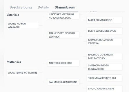 AMANE hübsche Hündin der Rasse SHIBA INU mit rotem Fell mit FCI dokumenten