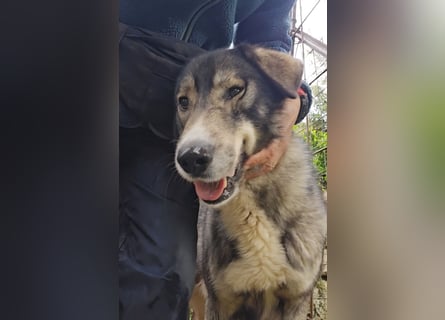 Duke: will was erleben -mit seinen Menschen!