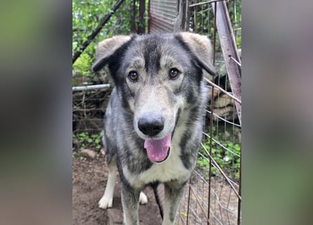 Duke: will was erleben -mit seinen Menschen!