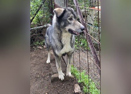 Duke: will was erleben -mit seinen Menschen!