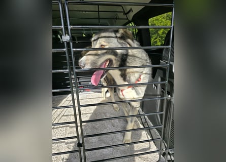 Duke: will was erleben -mit seinen Menschen!