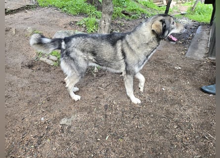 Duke: will was erleben -mit seinen Menschen!