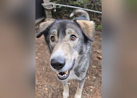 Duke: will was erleben -mit seinen Menschen!