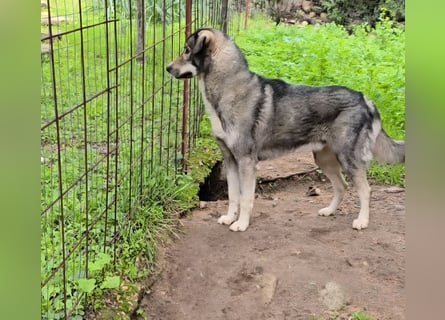 Duke: will was erleben -mit seinen Menschen!