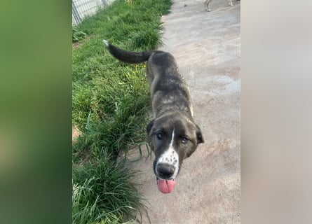 Emma sucht ihre Familie