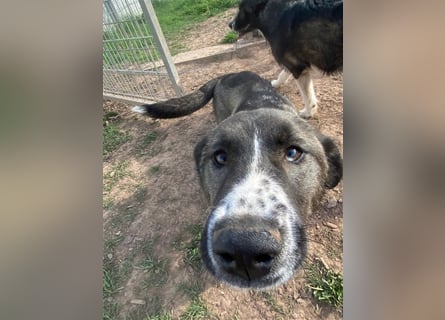 Emma sucht ihre Familie