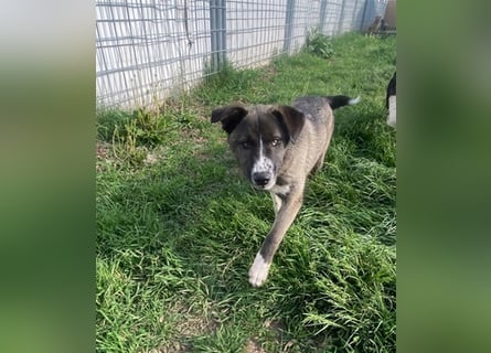 Emma sucht ihre Familie