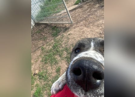 Emma sucht ihre Familie